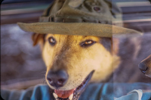 Date on slide mount Apr, 1970 _0Z80670.jpg