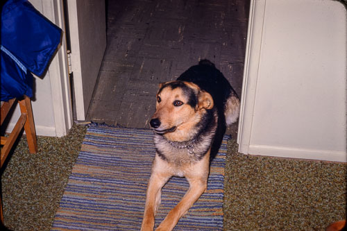 Date on slide mount Apr, 1970 _0Z80679.jpg