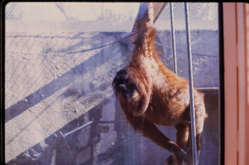 _0Z80736.jpg _0Z80736.jpg