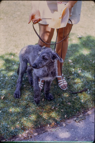 Date on slide mount Apr, 1970 _0Z80739.jpg