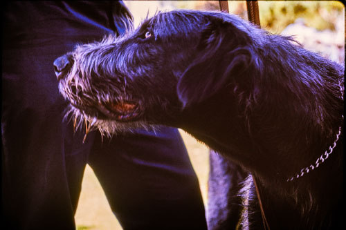 Date on slide mount Apr, 1970 _0Z80742.jpg