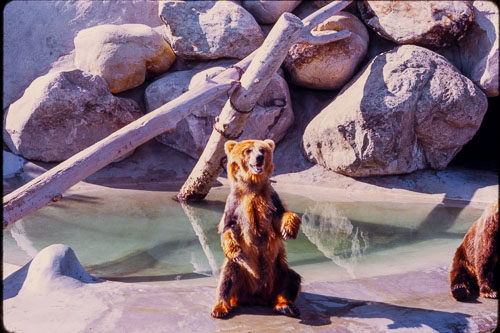 Date on slide mount Apr, 1970 _0Z80745.jpg