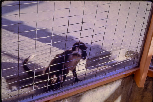 Date on slide mount Apr, 1970 _0Z80748.jpg