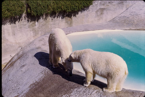 Date on slide mount Apr, 1970 _0Z80761.jpg