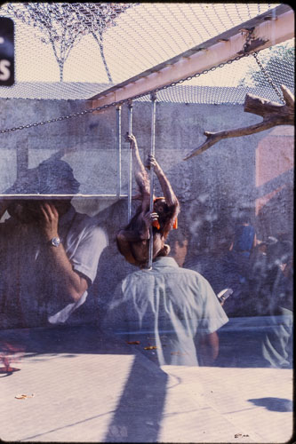 Date on slide mount Apr, 1970 _0Z80766.jpg