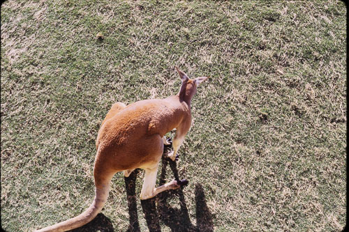 Date on slide mount Apr, 1970 _0Z80797.jpg