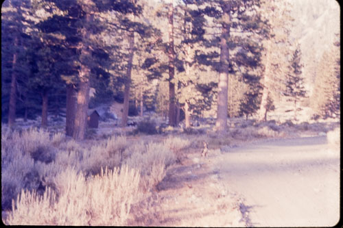 No date on slide mount _0Z80858.jpg