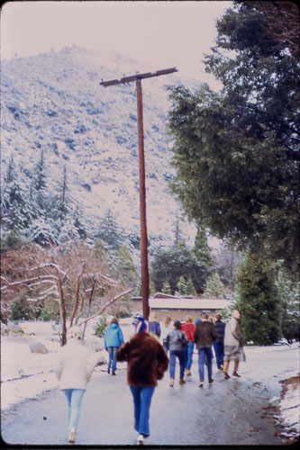 Pilgrim Pines. Date on slide mount Mar, 1971 _0Z80879.jpg