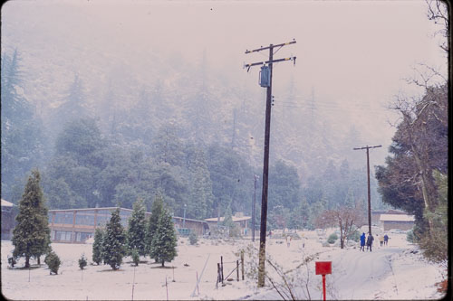 Pilgrim Pines. Date on slide mount Mar, 1971 _0Z80882.jpg