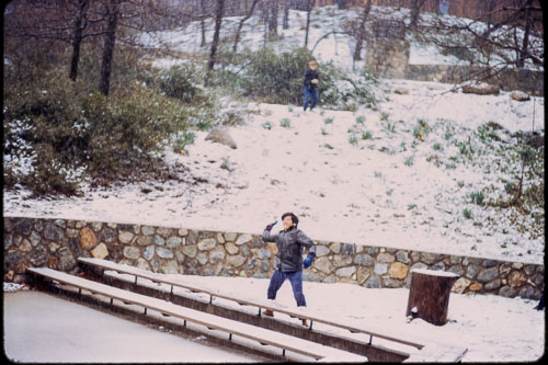 Pilgrim Pines. Date on slide mount Mar, 1971 _0Z80885.jpg