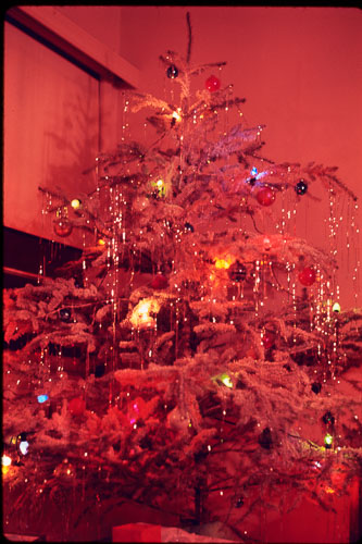 Date on slide mount Apr, 1970 _0Z80894.jpg