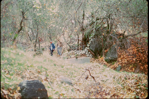 Date on slide mount Oct, 1982 _0Z80897.jpg