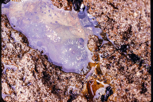 Date on slide mount Jul, 1969 _0Z80900.jpg