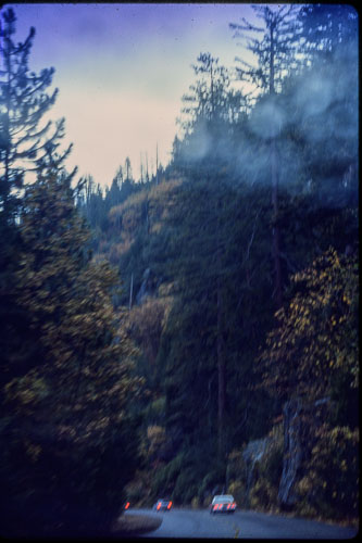 Date on slide mount Oct, 1982 _0Z80903.jpg