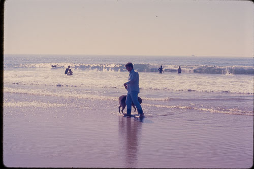 _0Z80912.jpg _0Z80912.jpg