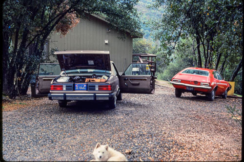 Date on slide mount Oct, 1982 _0Z80939.jpg