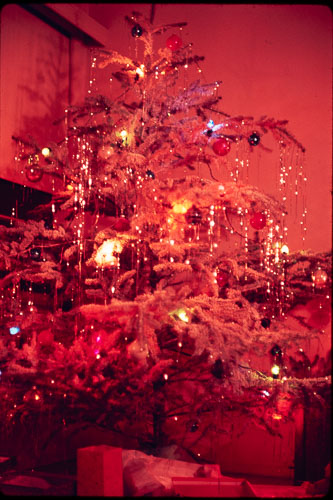 Date on slide mount Apr, 1970 _0Z80945.jpg