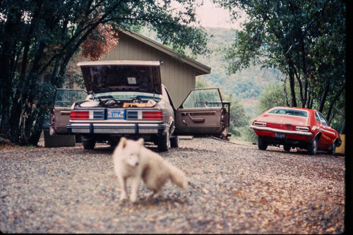 Date on slide mount Oct, 1982 _0Z80951.jpg