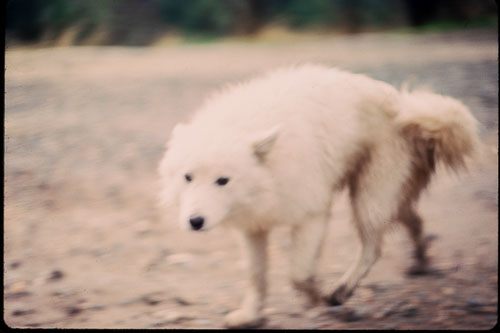 Date on slide mount Oct, 1982 _0Z80954.jpg