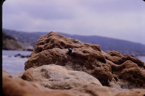 Date on slide mount Jul, 1969 _0Z80966.jpg