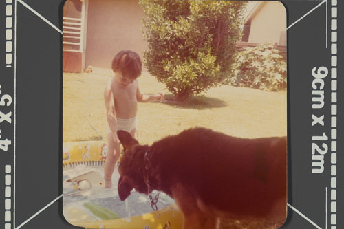 _0Z80200.jpg _0Z80200.jpg