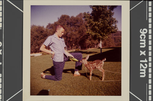 _0Z80342.jpg _0Z80342.jpg