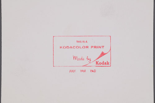 _DSC6537.jpg _DSC6537.jpg