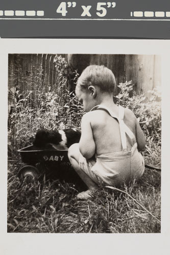 _0Z80011.jpg _0Z80011.jpg