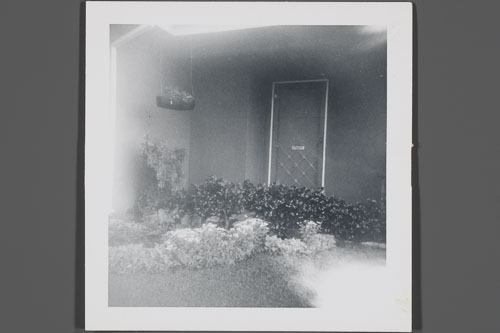 _0Z80135.jpg _0Z80135.jpg