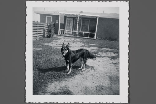 _0Z80138.jpg _0Z80138.jpg