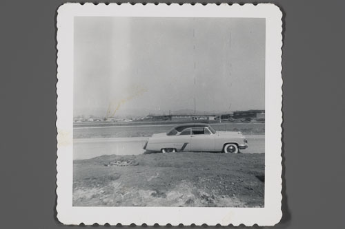 _0Z80141.jpg _0Z80141.jpg