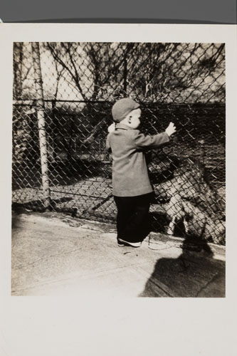 _0Z80145.jpg _0Z80145.jpg