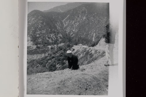 _0Z80479.jpg _0Z80479.jpg