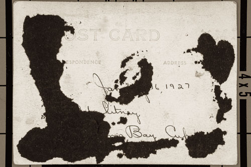 _DSC5772.jpg _DSC5772.jpg