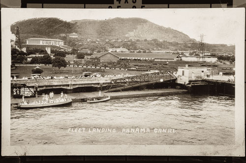 _DSC5781.jpg _DSC5781.jpg