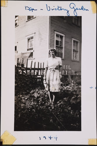 _DSC6626.jpg _DSC6626.jpg