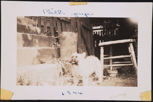 _DSC6632.jpg _DSC6632.jpg