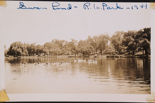 _DSC6650.jpg _DSC6650.jpg