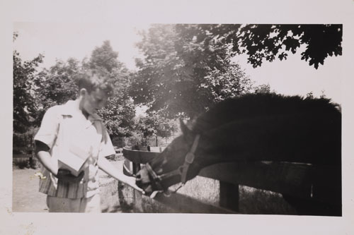 _DSC6656.jpg _DSC6656.jpg