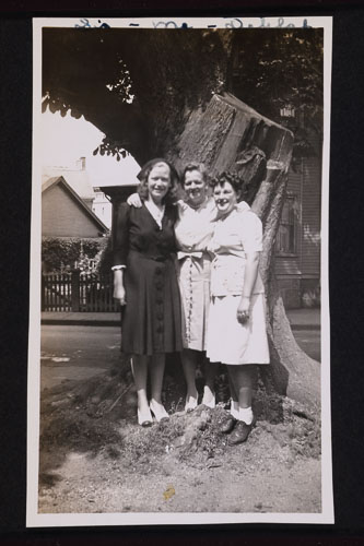 _DSC6728.jpg _DSC6728.jpg