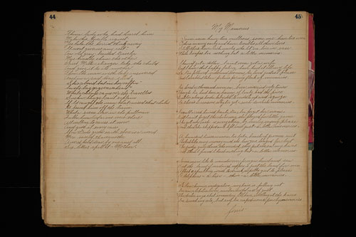 _DSC6018.jpg _DSC6018.jpg