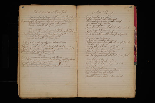 _DSC6033.jpg _DSC6033.jpg