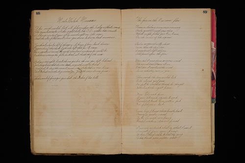 _DSC6084.jpg _DSC6084.jpg