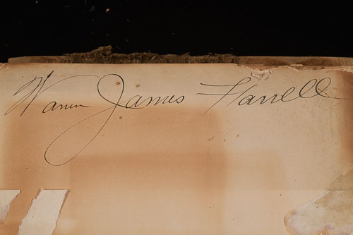 _DSC6246.jpg _DSC6246.jpg