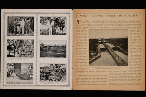 _DSC6431.jpg _DSC6431.jpg