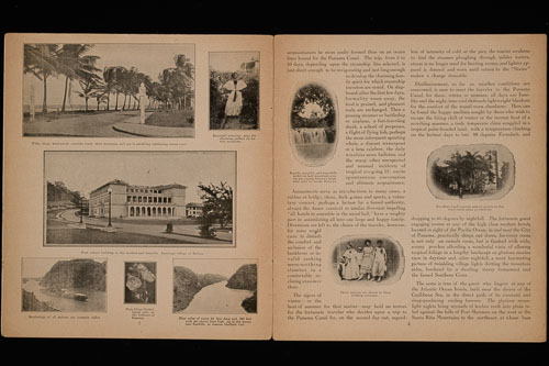 _DSC6432.jpg _DSC6432.jpg