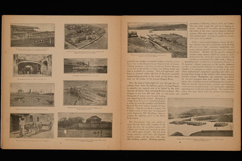 _DSC6435.jpg _DSC6435.jpg