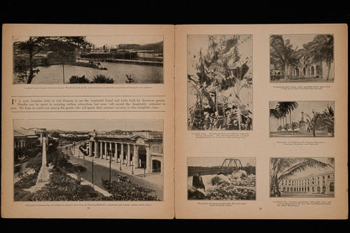 _DSC6442.jpg _DSC6442.jpg