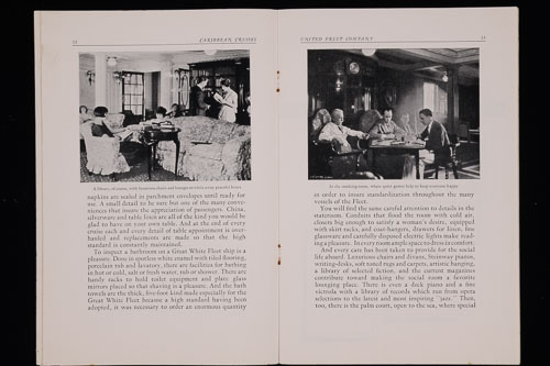 _DSC6464.jpg _DSC6464.jpg