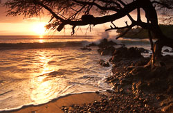 ma_surfsunset.jpg ma_surfsunset.jpg